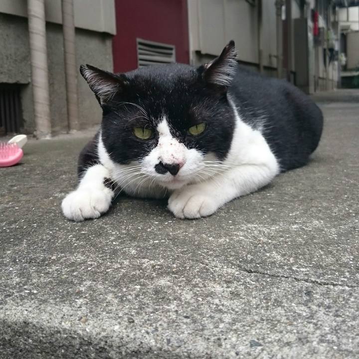 70b1f93a e72a 4486 8f55 ec20e6a154f9