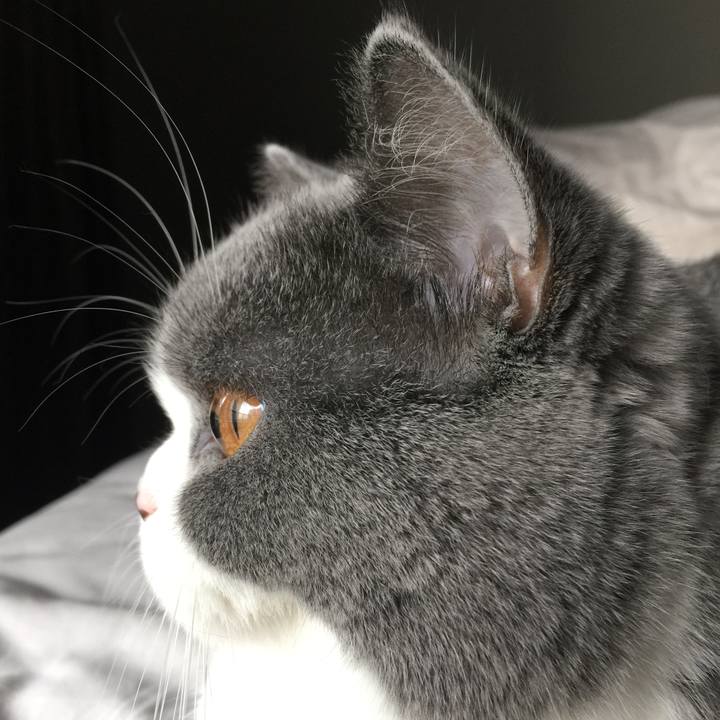 70b2cff1 7d2f 4c1a b191 69fe69f42796