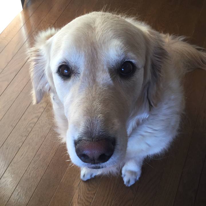 70b2f514 af3a 4715 82e4 e69f94cd7360