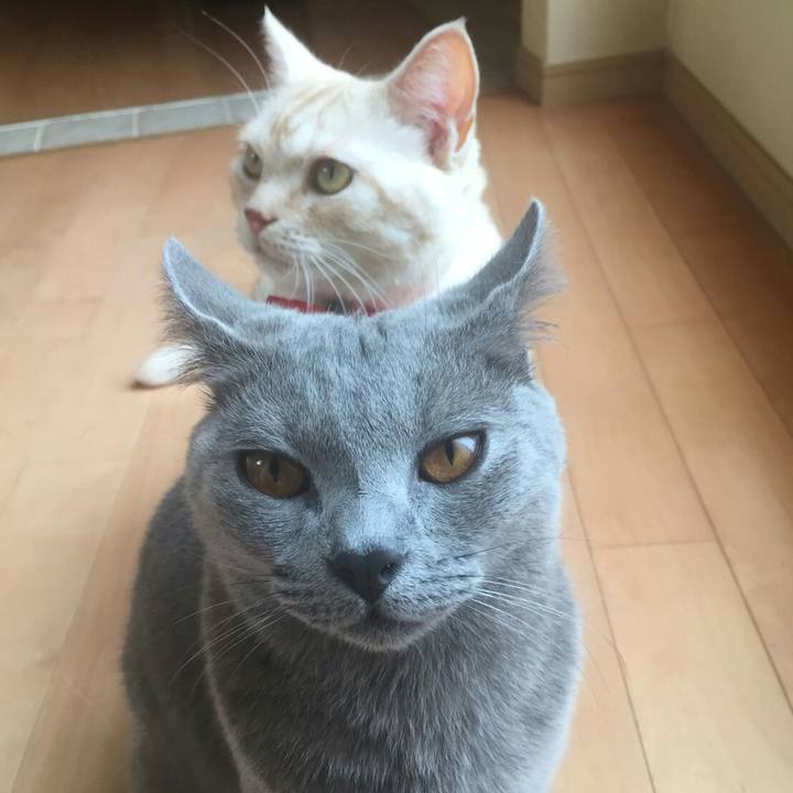 70b44c53 4775 4582 9648 ed58a01f8e5d