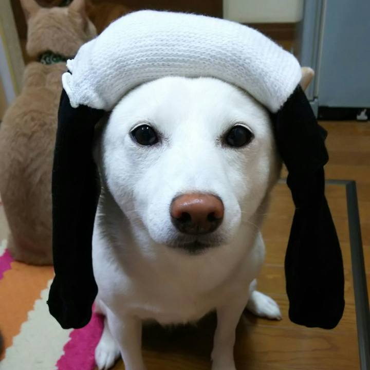 70b58bd5 0a84 4ad5 9366 b8e3aa04f001