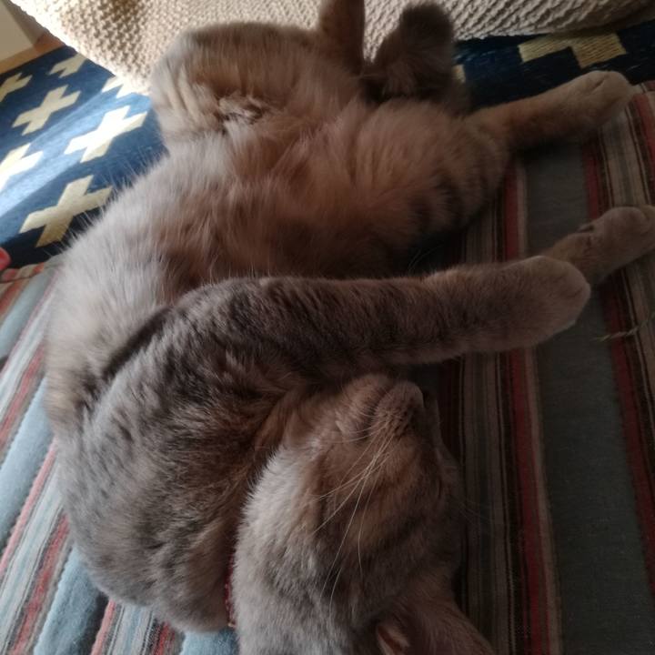 70b58ea1 bf33 46cf 9d5d c72fb9784130