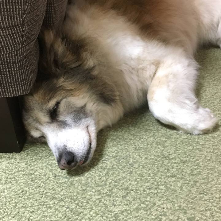 70b64733 9e43 42d8 8d71 69ae449aa10f