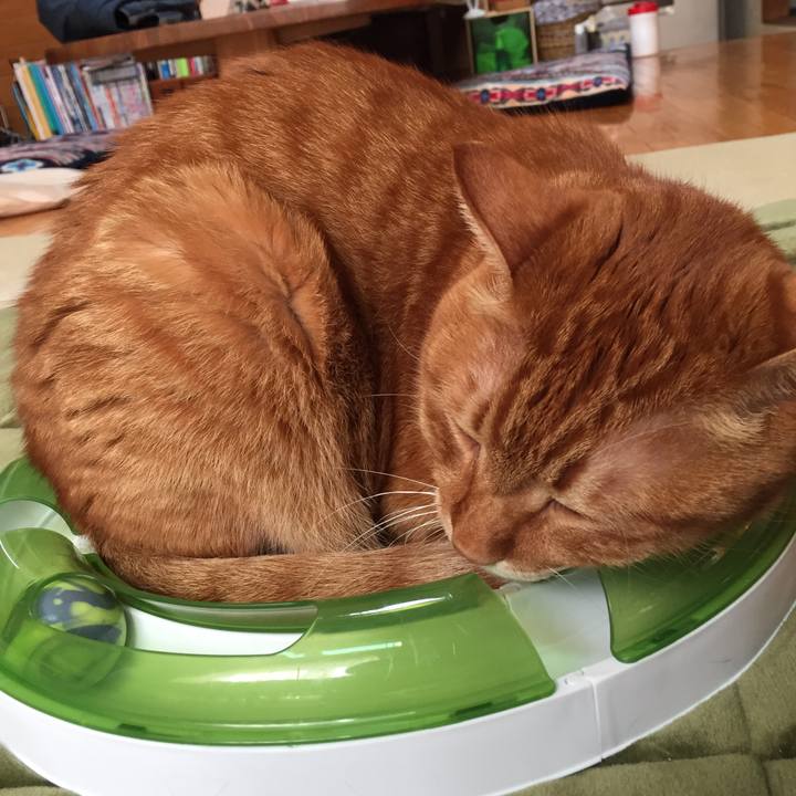 70b68667 cec8 4255 a861 d69ca8ead84d