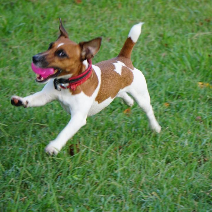 70b6f0f0 b4ff 48e1 a606 61ae0a72dfbc