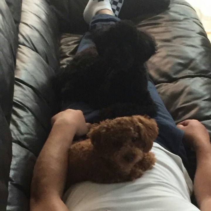 70b727a5 c521 4621 a1e2 5fd26fa55ce4