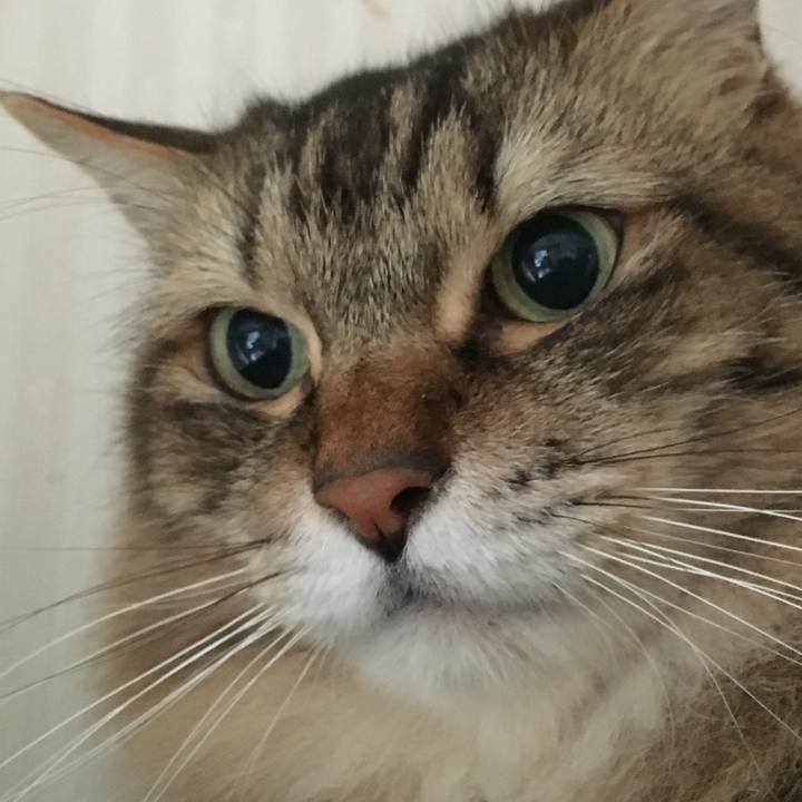 70b80451 fcb6 4b3c b384 2e23fa4f598d