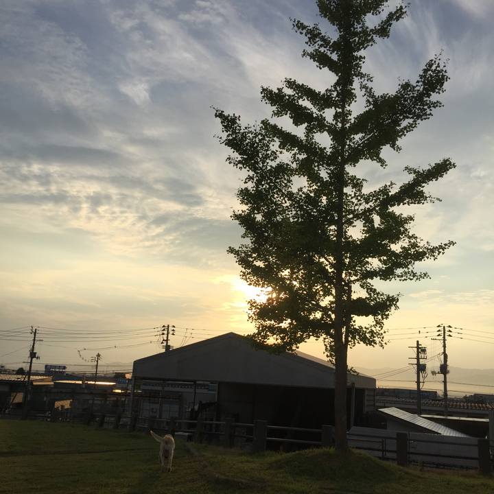 70b81947 3533 42d1 a0ae a966f3196c21