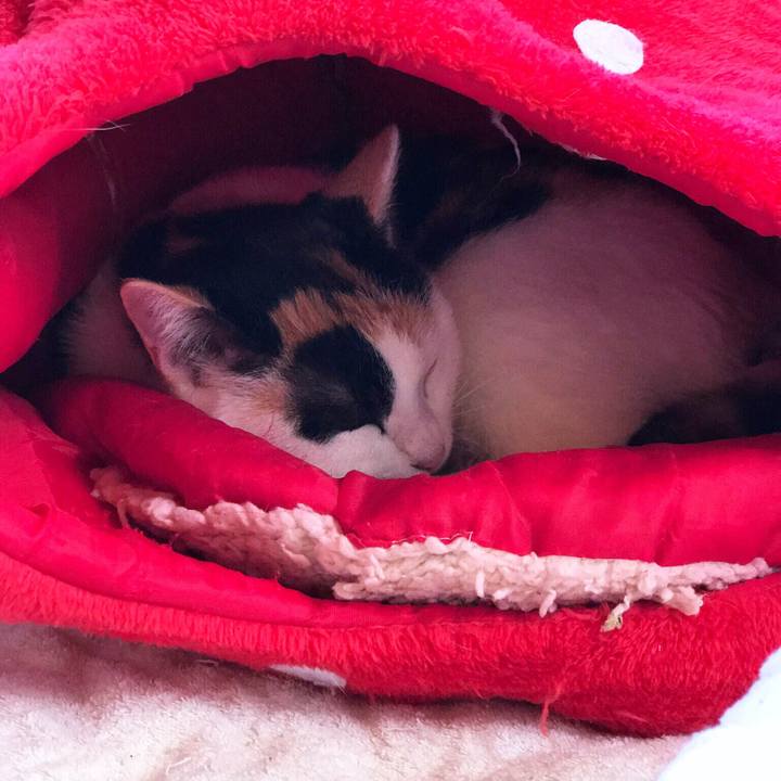 70b88790 8d59 4e08 9852 61f2b74821cc