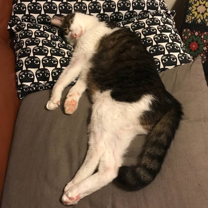 70b9afd4 474e 46e8 86d0 c2a53e48bf17