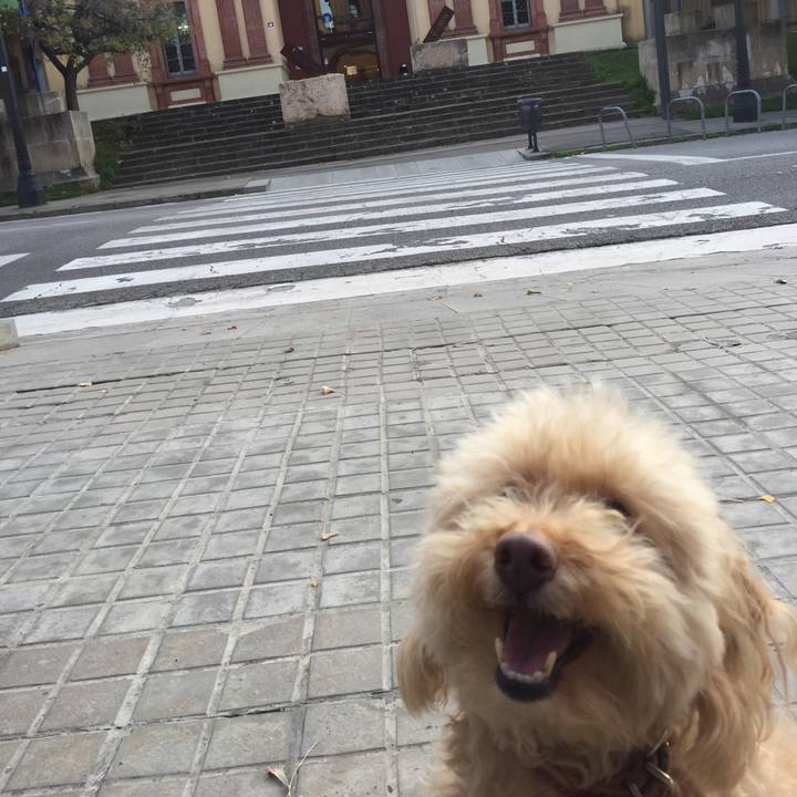 70b9e0a1 e7b1 404f 85ac 0fc037081bdf