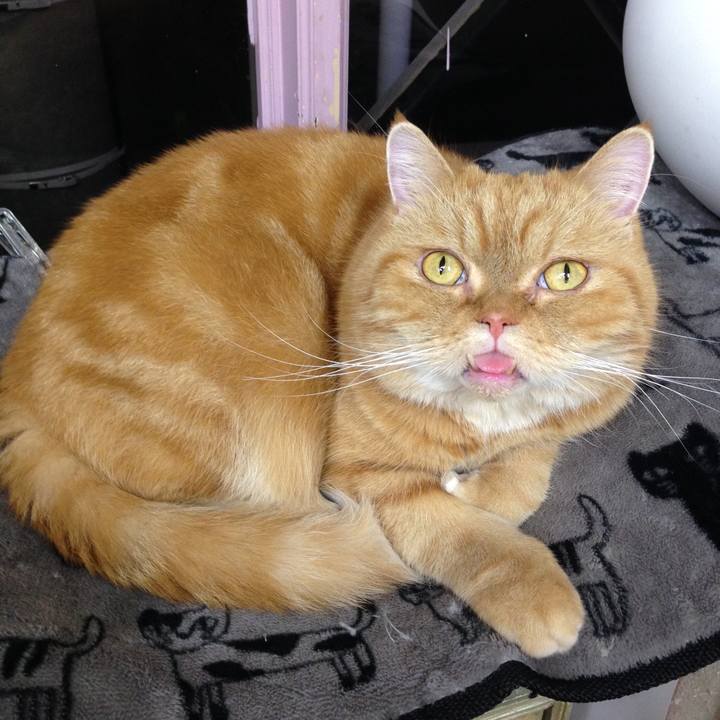 70ba35eb c4f5 46ee a983 53609b40a4e1