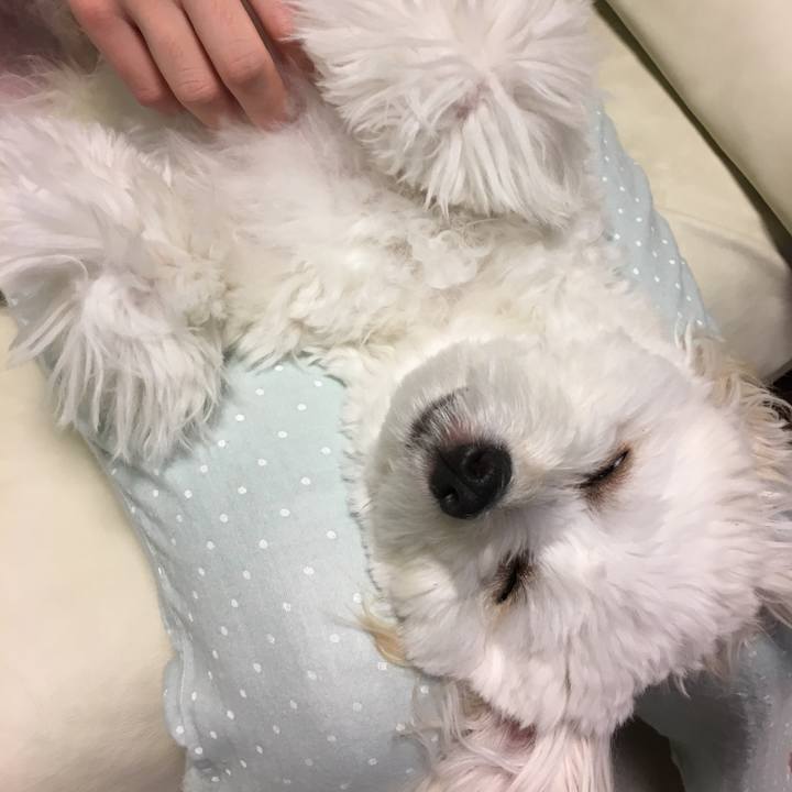 70bae034 3606 4608 b25e 4d5f4a43f2a9