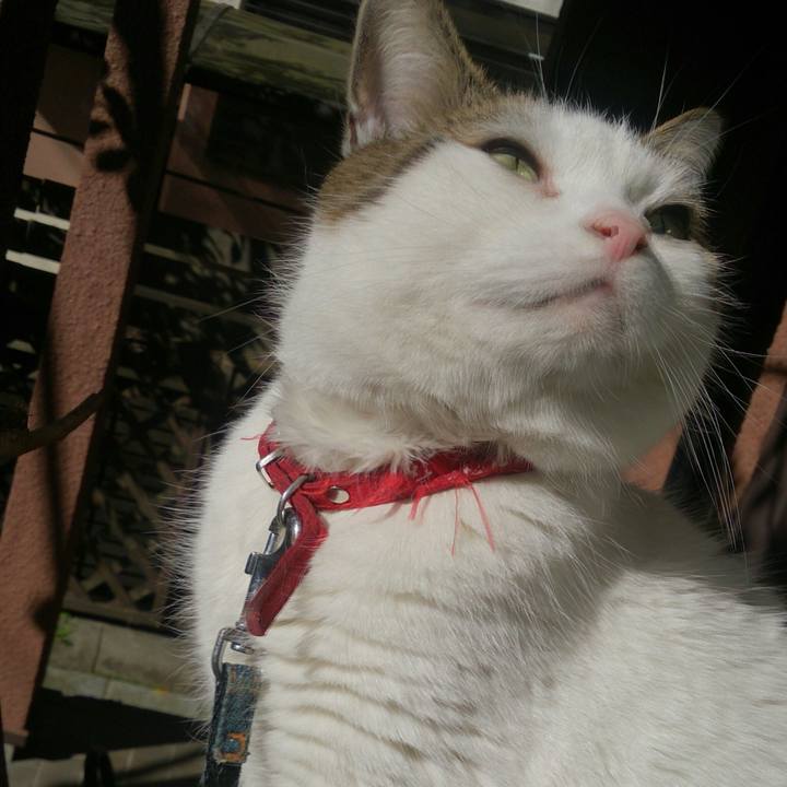 70bb0feb d0b2 4dbb a587 e64f2d3a8efc