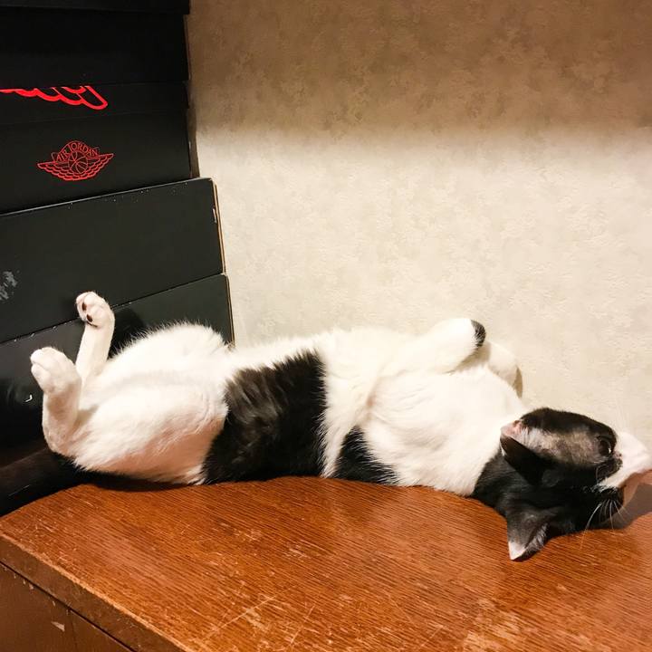 70bba3f3 1600 4252 9493 8c27dbb8b1f3