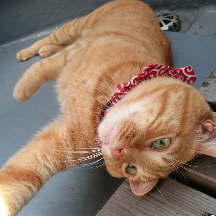 70bc9176 f0d4 4392 b0b0 f7422cb7722b