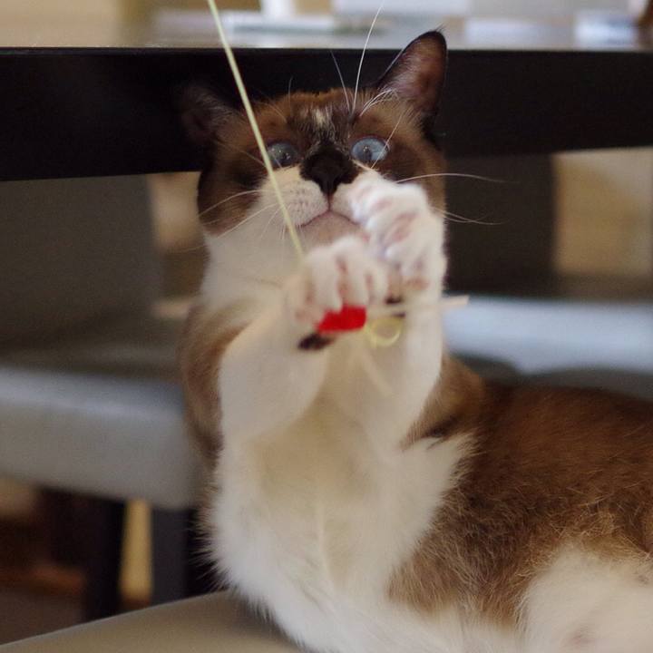 70bcef61 a14f 4dc3 9303 d93ba9ce2977