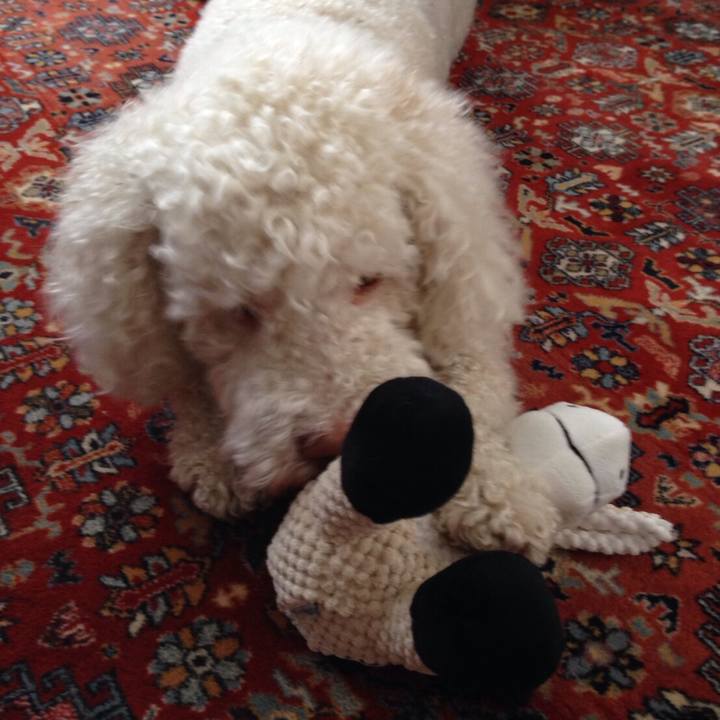 70bd3fdd fe8b 4ad8 989c 863f76c6a9d0