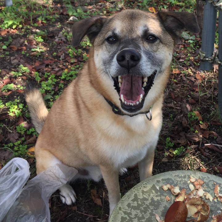 70bd5387 728e 4e9a 90da dcf331698631