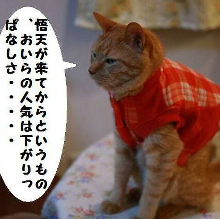 70bd5e87 d072 499d 9a4d 3c46c371b6be