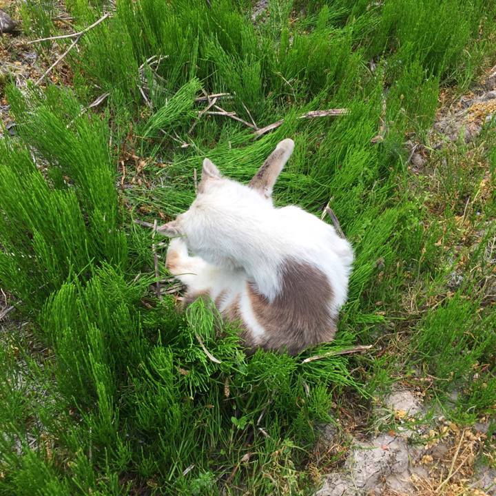 70bda31d 02d3 41ca 9a14 316e48596610