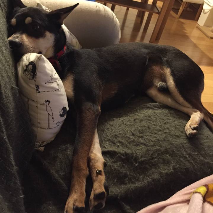 70bde27e bbee 48dc 89e1 c1f799b185fa