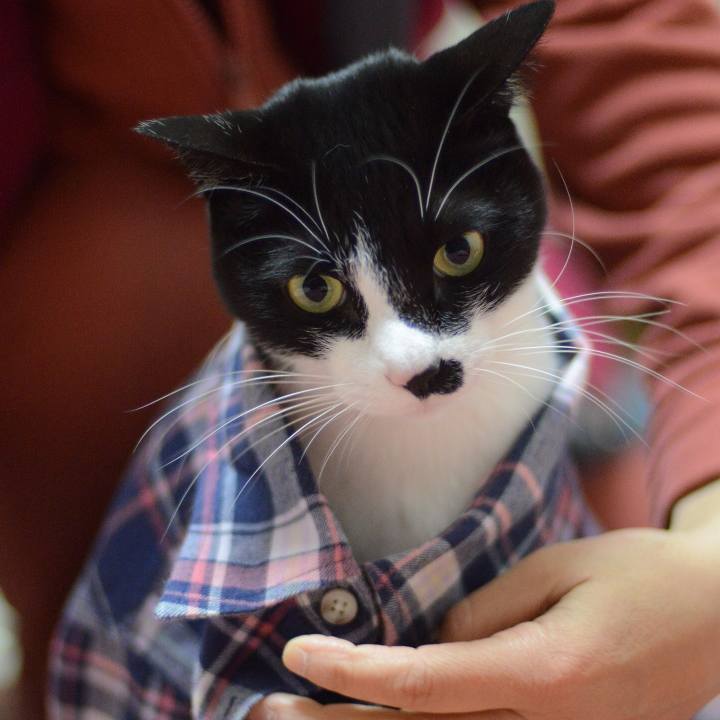 70be5a7d 269c 4b64 abe6 0f9fb5d19f96