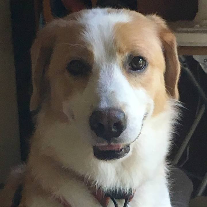 70be7d4c cb5b 4de0 a92d 815d563160f3