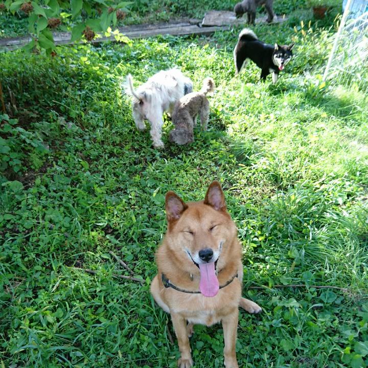 70bed4bd 99fa 475b b9e9 9b9cf3521506