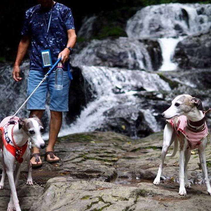 70bef20d b5e7 4ee5 81ce a1f945fc76fc