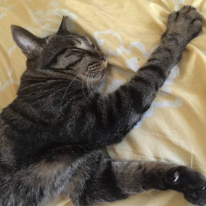 70bf552c 3fcd 4eab 853f ea20173400b2