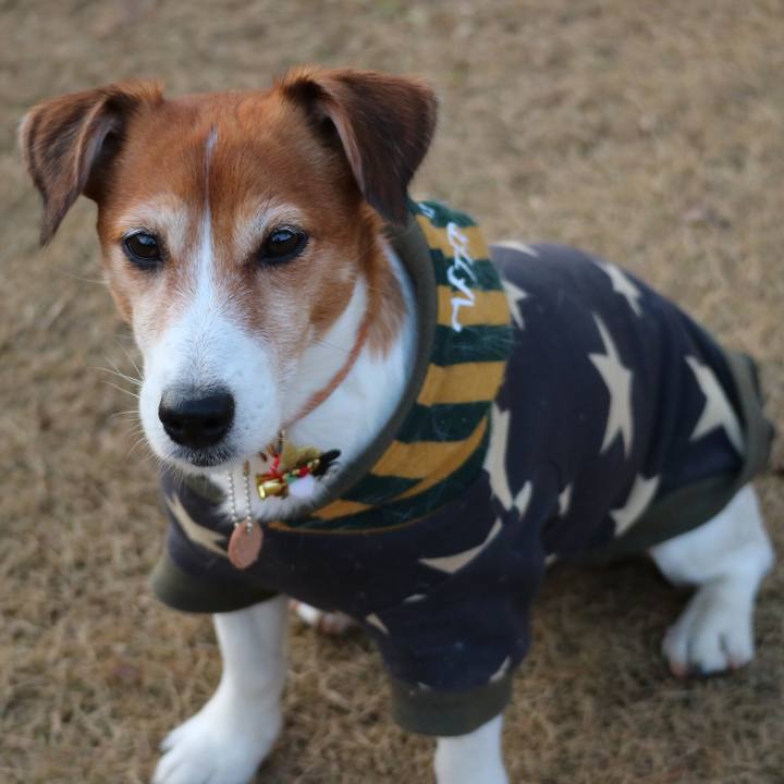 70bfb745 53b8 4f0d b009 96a933dce825