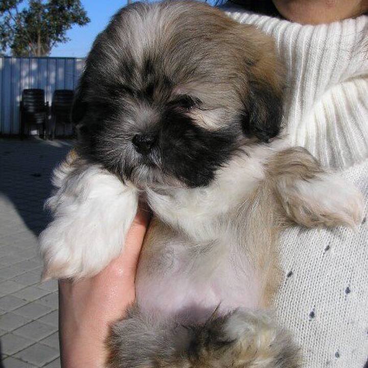 70bffad7 546f 41d3 855e 08bf8a29600b