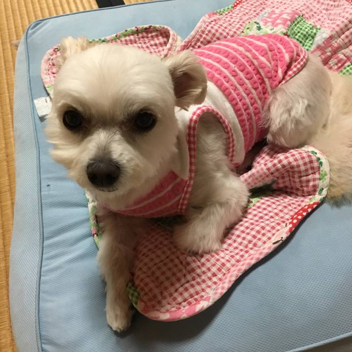 70c03870 8d3d 4482 9d9f 96ef57c51300