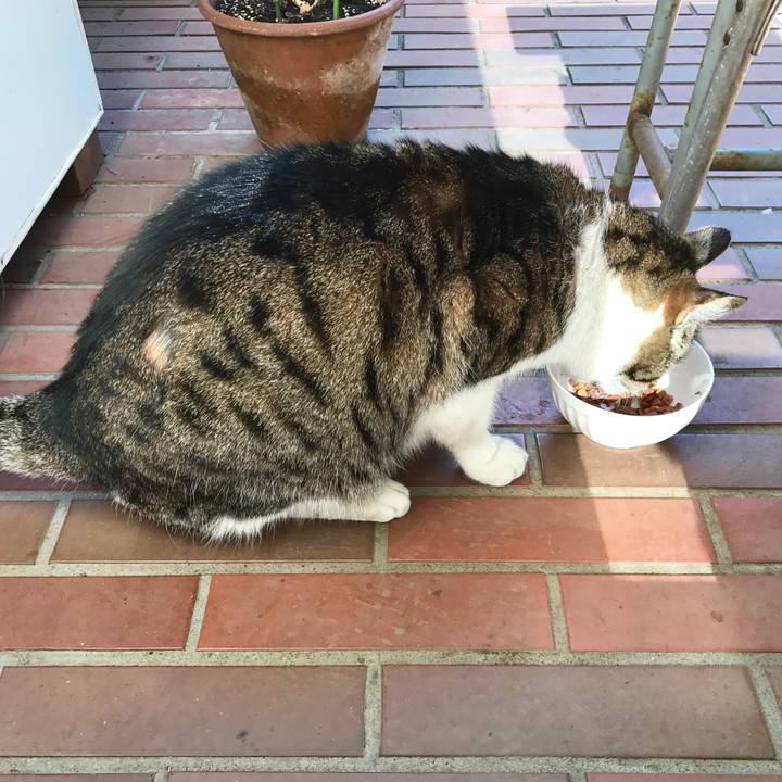 70c03fd2 22ef 4c09 b09c 64a17aaafc2a