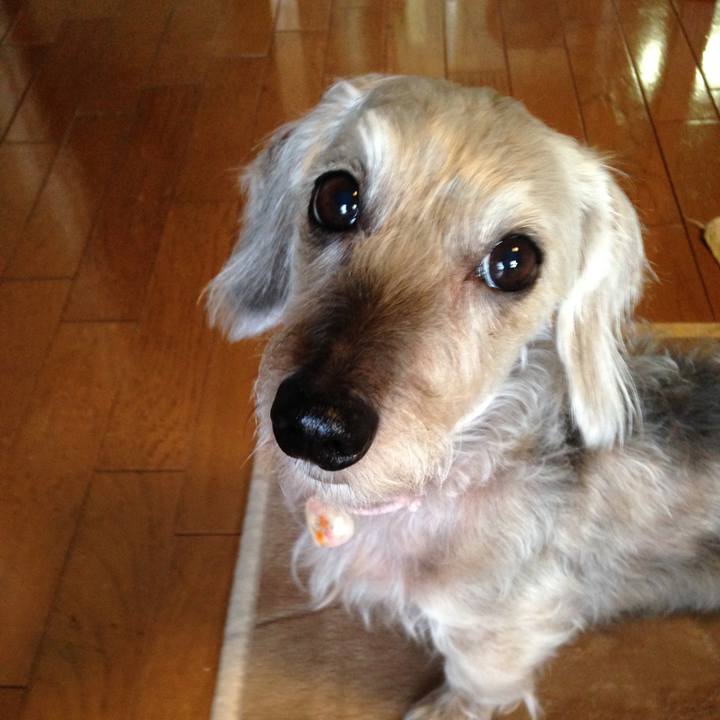 70c0ad4f 05b6 4e69 971e 83dc81216ab8