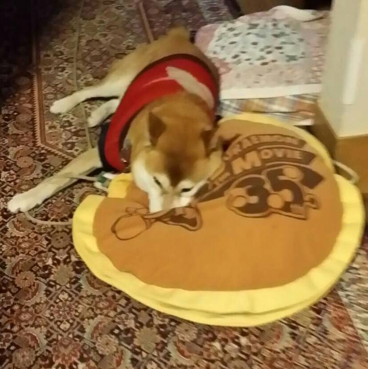 70c1a2ce 0124 40e5 8836 56b7d2a7509c