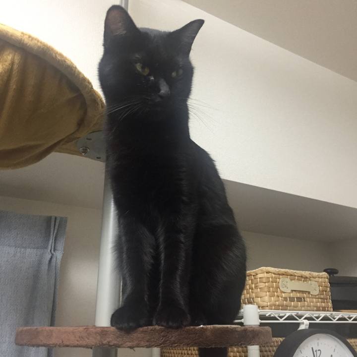 70c21960 9b01 451d 9647 36a7e10b558f