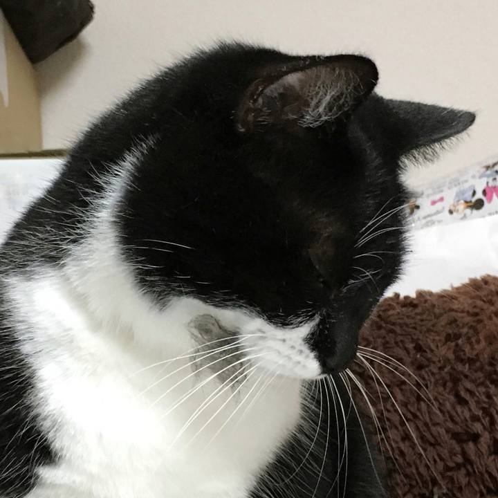 70c36802 f766 401f 83b2 cbcc71b13850