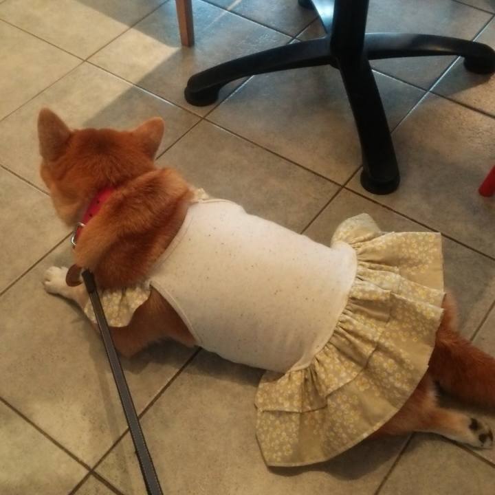 70c5129c 9f58 4aac b064 b52391a4ebbc