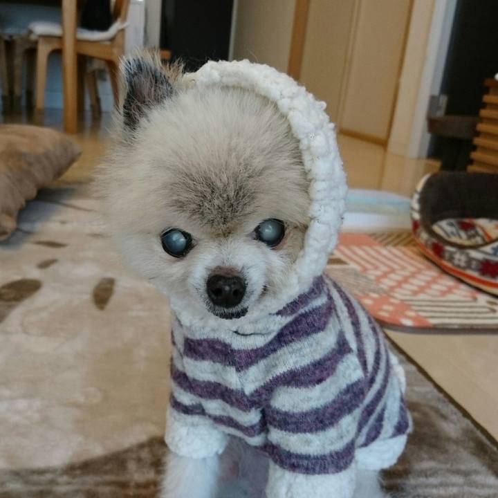 70c5205d dedb 4d6d b13d 71667088d74a