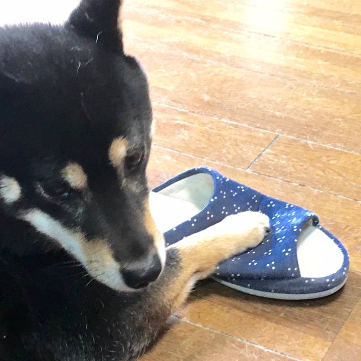 70c63aa9 4ea5 42bc a7d8 1d77c22b2a84