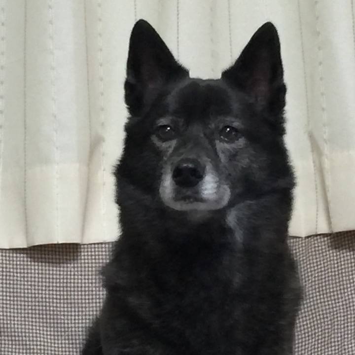 70c67235 138f 43c7 92de 393e9e4f948e