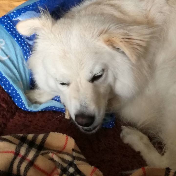 70c6e40b 21ac 4092 80bd 4053c7351d5e