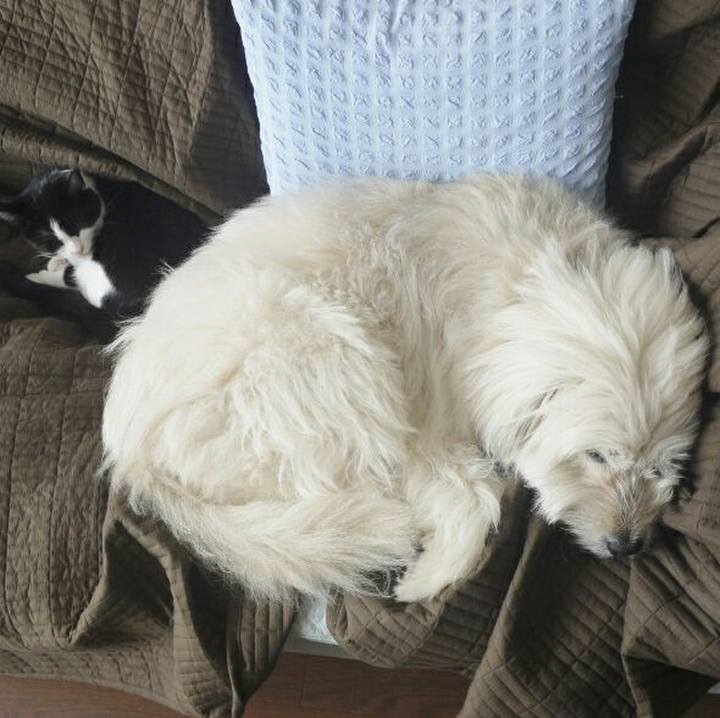 70c72eb4 91bd 40a0 8317 ac5d6e9291e2