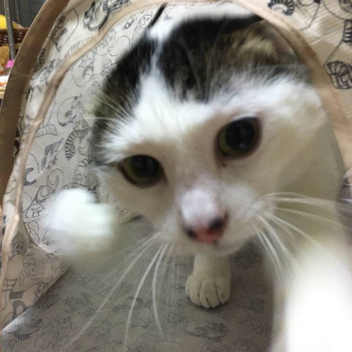 70c7af37 f1a6 43f4 9920 bfaacfcadcf9