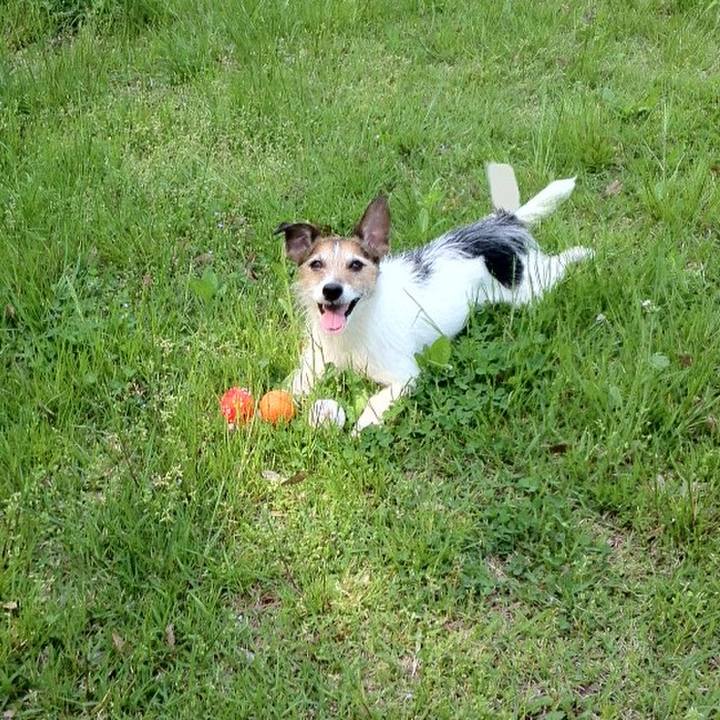 70c8a717 87d3 4b4e 95e2 05c03eedfb29