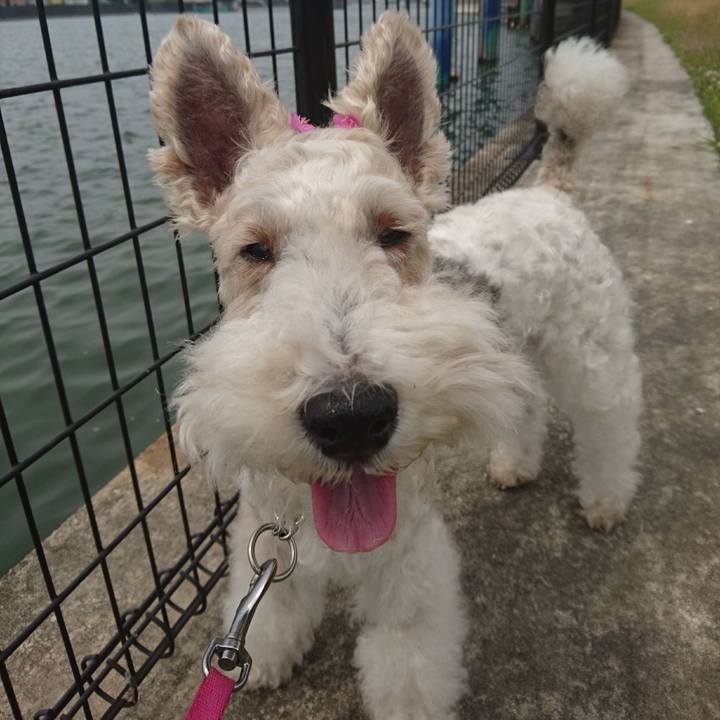 70c90358 b65c 4ebc bd97 19f8ea349f5b