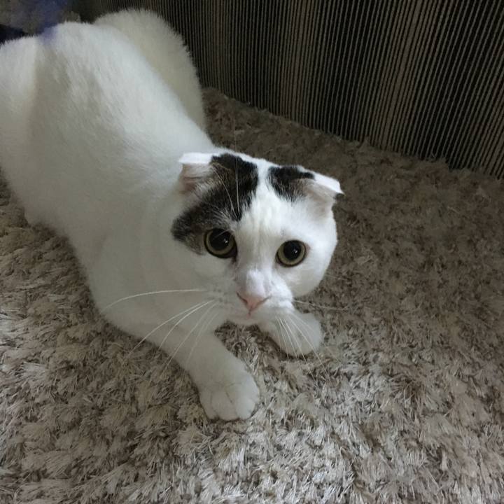 70c92cea 620e 4c37 b788 79d5976b2068