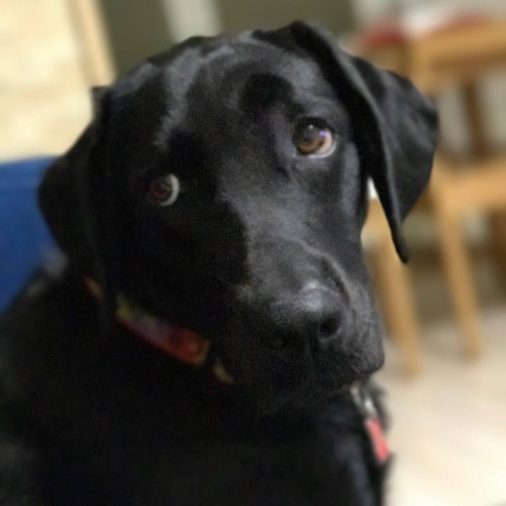 70c92f22 2a1f 49f8 aa63 db46904bcded